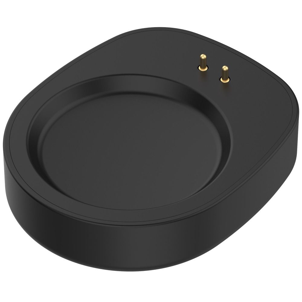 어메이즈핏 T-Rex 3 용 C 타입 충전기 어댑터,  - Amazfit Smartwatch Accessories 리뷰 및 가격