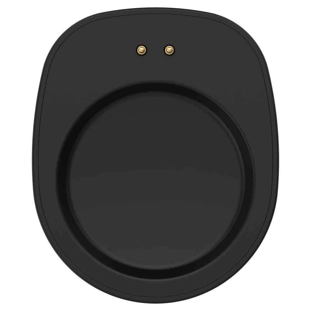 어메이즈핏 T-Rex 3 용 C 타입 충전기 어댑터,  - Amazfit Smartwatch Accessories 리뷰 및 가격